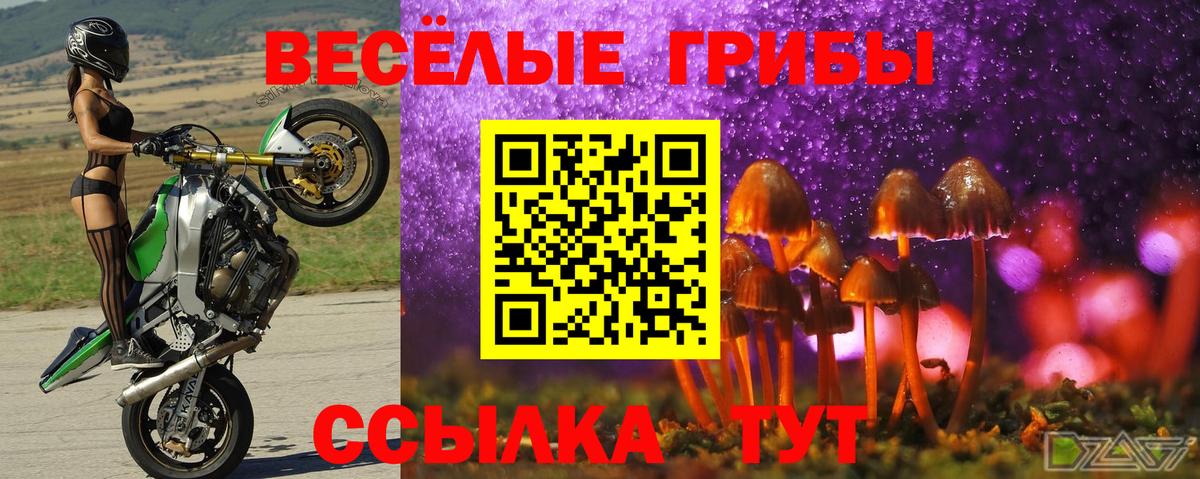 Псилоцибиновые грибы мухоморы Добрянка